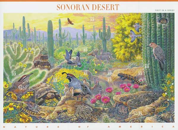 Nature of America: Sonoran Desert Desert