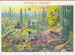 Nature of America: Sonoran Desert Desert