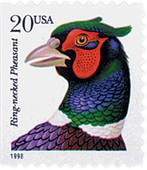 Ring-necked Pheasant, self-adhesive