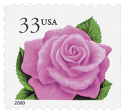 Coral Pink Rose