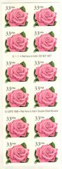 Pink Rose pane