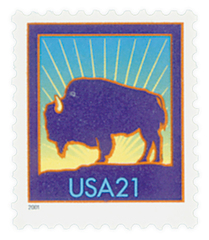 Bison, small 2001