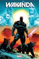 Wakanda #1 (Of 5) 25 Copy Incv Klein Var (STL242385)