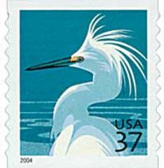Snowy Egret, per 9 1/2 vertical