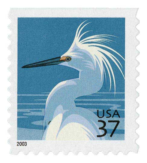 Snowy Egret with micro printing