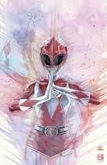 Mighty Morphin Power Rangers #101 Cvr E 50 Copy Incv Mack (STL242116)