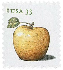 Apples, Golden Delicious