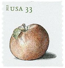 Apples coil stamp- Northern Spy