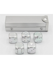 Silver set of 5 metal D6 pipped and in a metal container