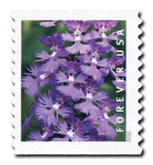 2020 First-Class Forever Stamp - Wild Orchids (coil): Platanthera grandiflora