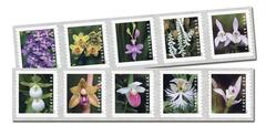 2020 First Class Forever Stamp - Wild Orchids (coil)