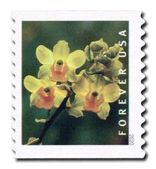 First-Class Forever Stamp - Wild Orchids (coil): Cyrtopodium polyphyllum