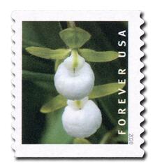 2020 First-Class Forever Stamp - Wild Orchids (coil): Cypripedium californicum
