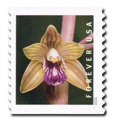 2020 First-Class Forever Stamp - Wild Orchids (coil): Hexalectris spicata