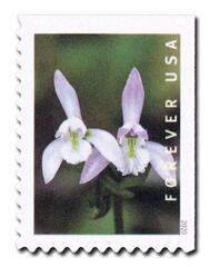 2020 First-Class Forever Stamp - Wild Orchids (booklet): Triphora trianthophoros, 2 flowers