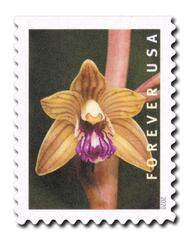 2020 First-Class Forever Stamp - Wild Orchids (booklet): Hexalectris spicata