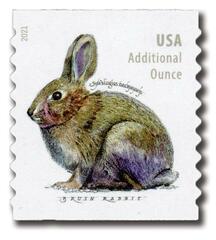 2021 20c Brush Rabbit (coil)