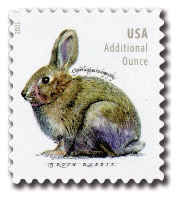 2021 20c Brush Rabbit