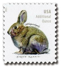 2021 20c Brush Rabbit