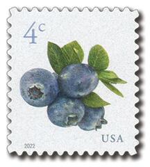 Blueberries (sheet stamp)