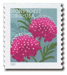 2022 5c Butterfy Garden Flower - Scabiosas