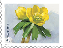 Snowy Beauty Forever Stamps