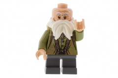 LEGO Professor Filius Flitwick
