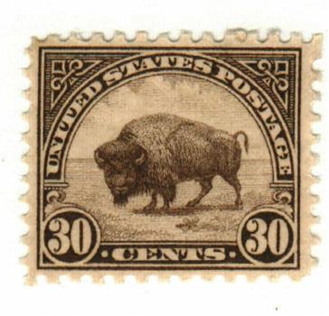 Bison, brown