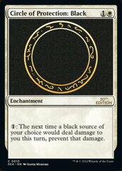 Circle of Protection: Black - Modern Frame