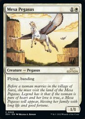 Mesa Pegasus - Modern Frame