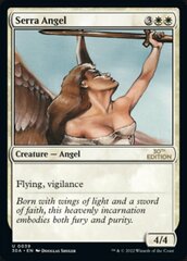 Serra Angel - Modern Frame