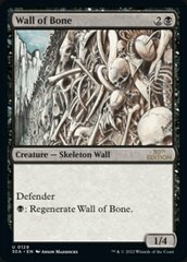 Wall of Bone - Modern Frame