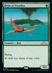 Birds of Paradise - Modern Frame