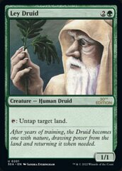 Ley Druid - Modern Frame