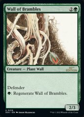 Wall of Brambles - Modern Frame