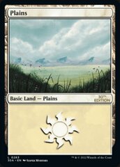 Plains (283) - Modern Frame