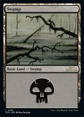 Swamp (291) - Modern Frame