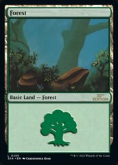 Forest (295) - Modern Frame