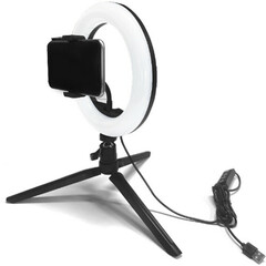 Godox VK2-LT Vlogging Kit with LED6Bi Bi-Color LED Video Light (Lightning)