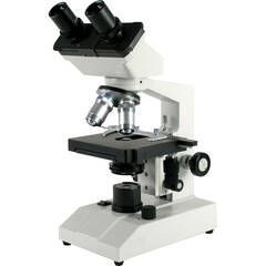 National Ecoline Inclined Binocular Compound Microscope