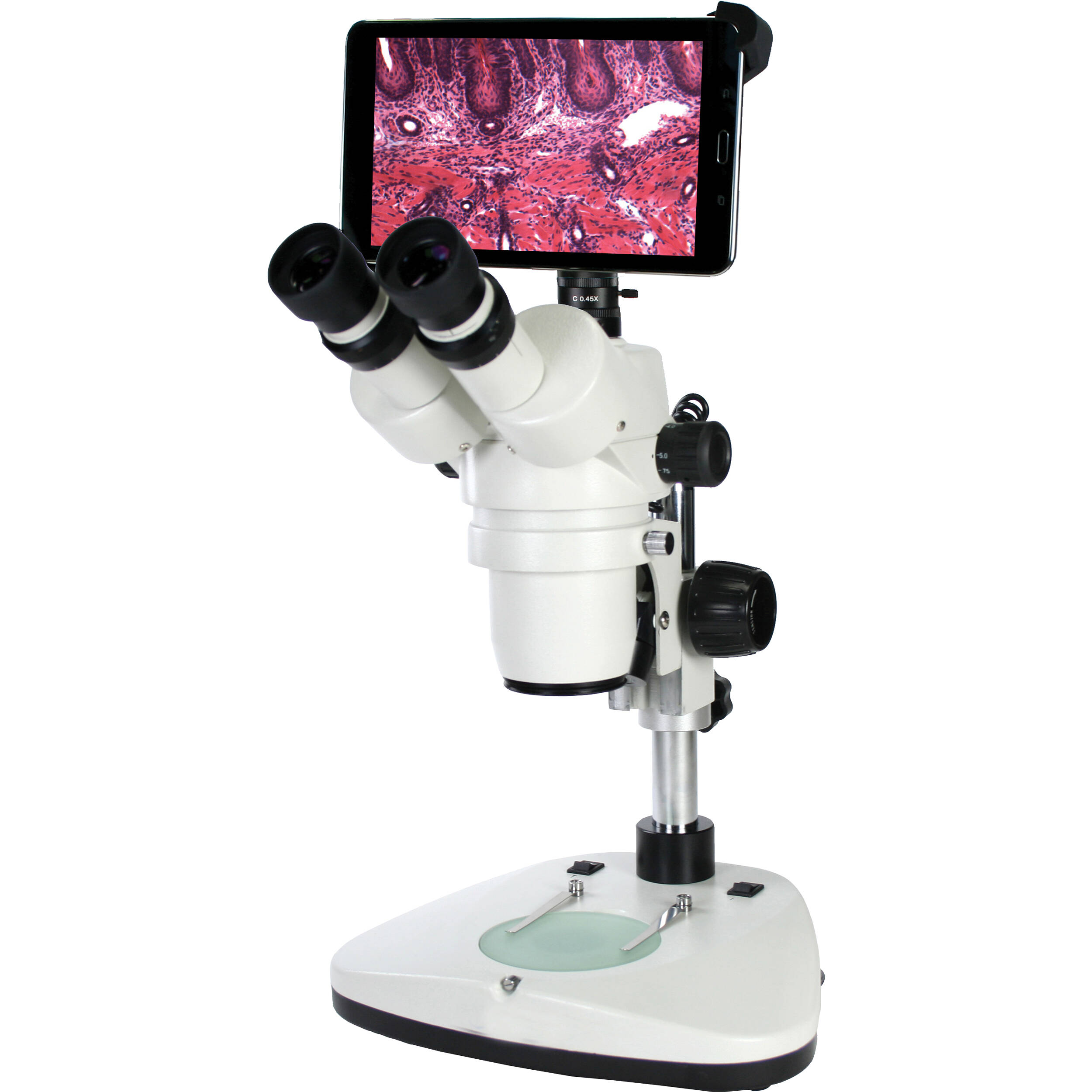 National Model 420T-1105-10 Stereoscopic Microscope