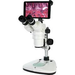 National Model 420T-1105-10 Stereoscopic Microscope
