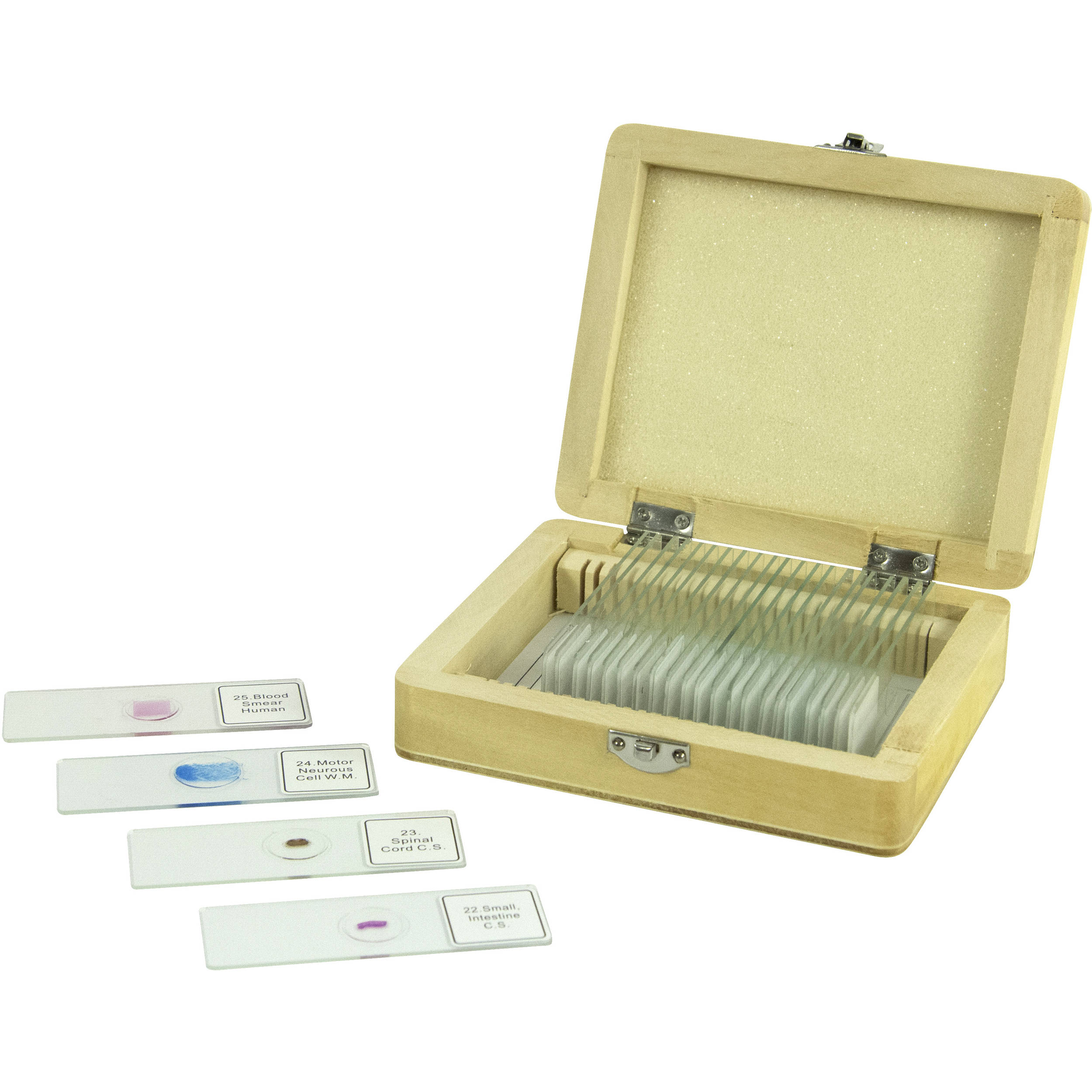 BRESSER 4x Objective for Biorit ICD-Series Microscopes