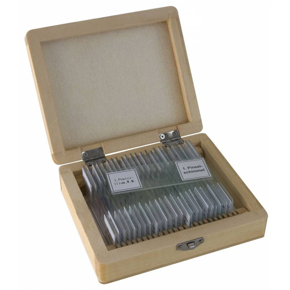Bodelin Technologies ProScope Screen Measurement Pack Software - Windows Edition