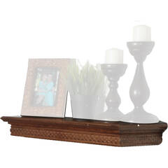Turtle Shelf for Phoenix Data Commander Fireproof Safe