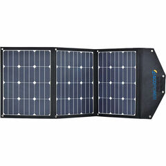 EcoFlow DELTA 1300 Portable Power Station and 160W Solar 2-Panel Kit