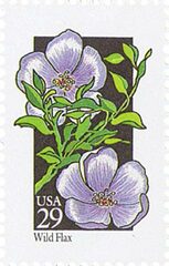Wildflowers: Wild Flax