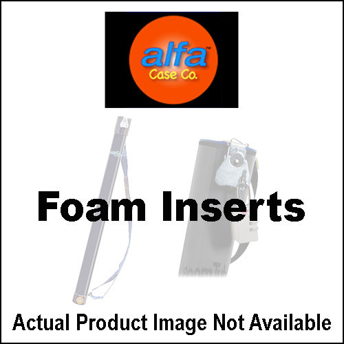 AEA Ribbon Mics Vinyl Bag