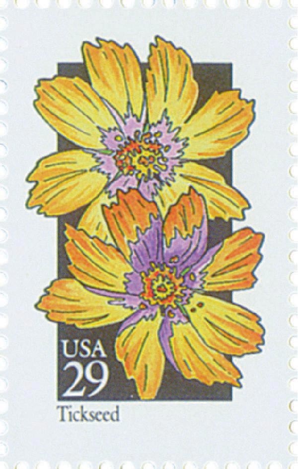 Wildflowers: Tickseed