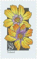 Wildflowers: Tickseed